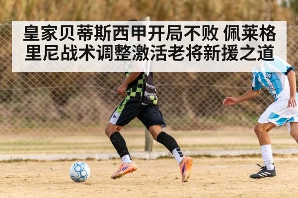 皇家贝蒂斯西甲开局不败 佩莱格里尼战术调整激活老将新援之道