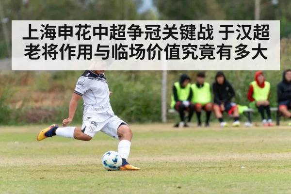 上海申花中超争冠关键战 于汉超老将作用与临场价值究竟有多大
