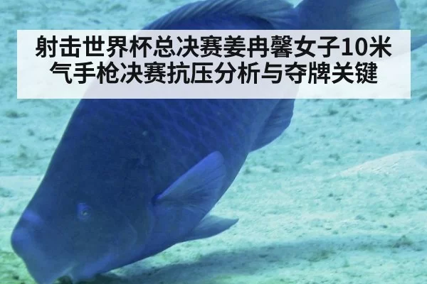 射击世界杯总决赛姜冉馨女子10米气手枪决赛抗压分析与夺牌关键